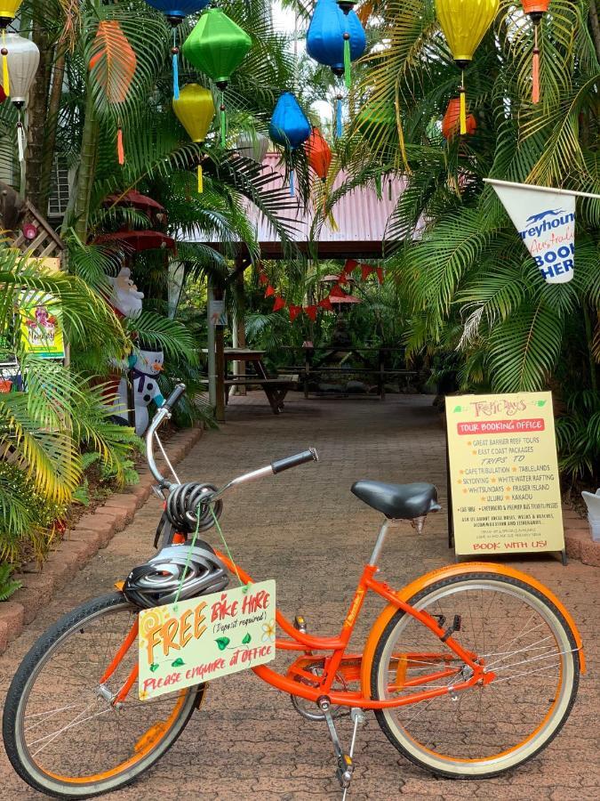 קאירנס Tropic Days Boutique Hostel מראה חיצוני תמונה